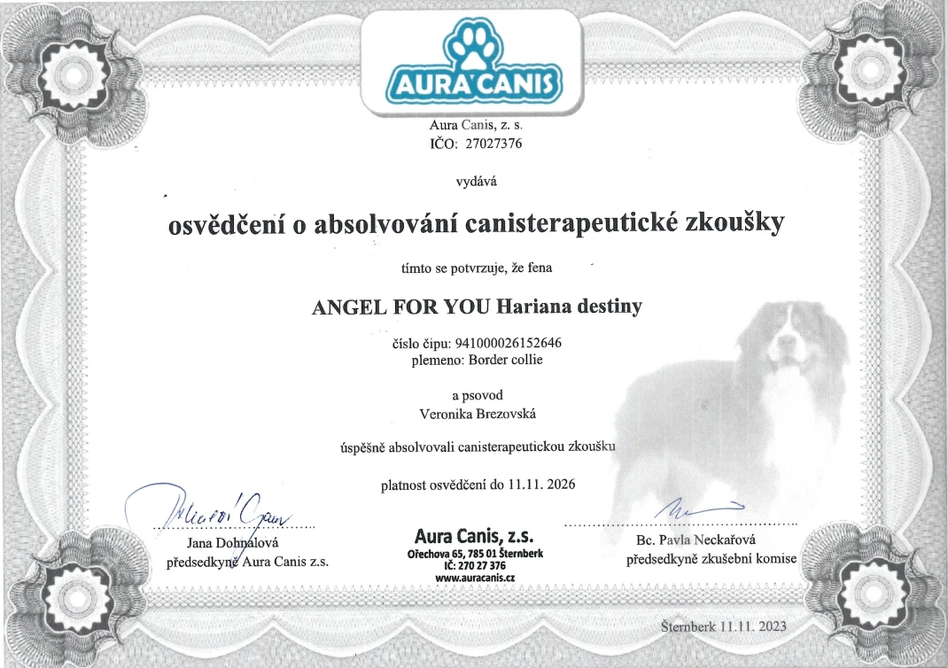 Certifikácie canisterapie
