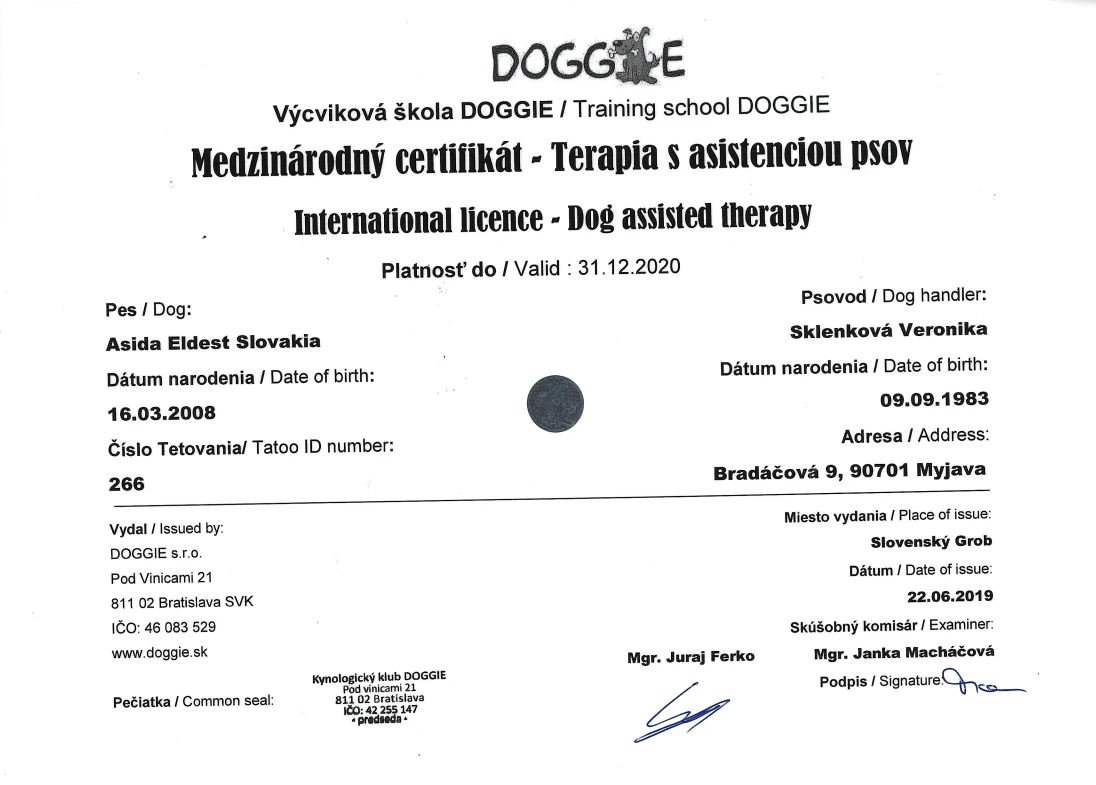 Certifikácie canisterapie